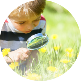 A boy in kindergarten is watching nature